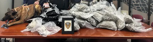 Drug bust haul